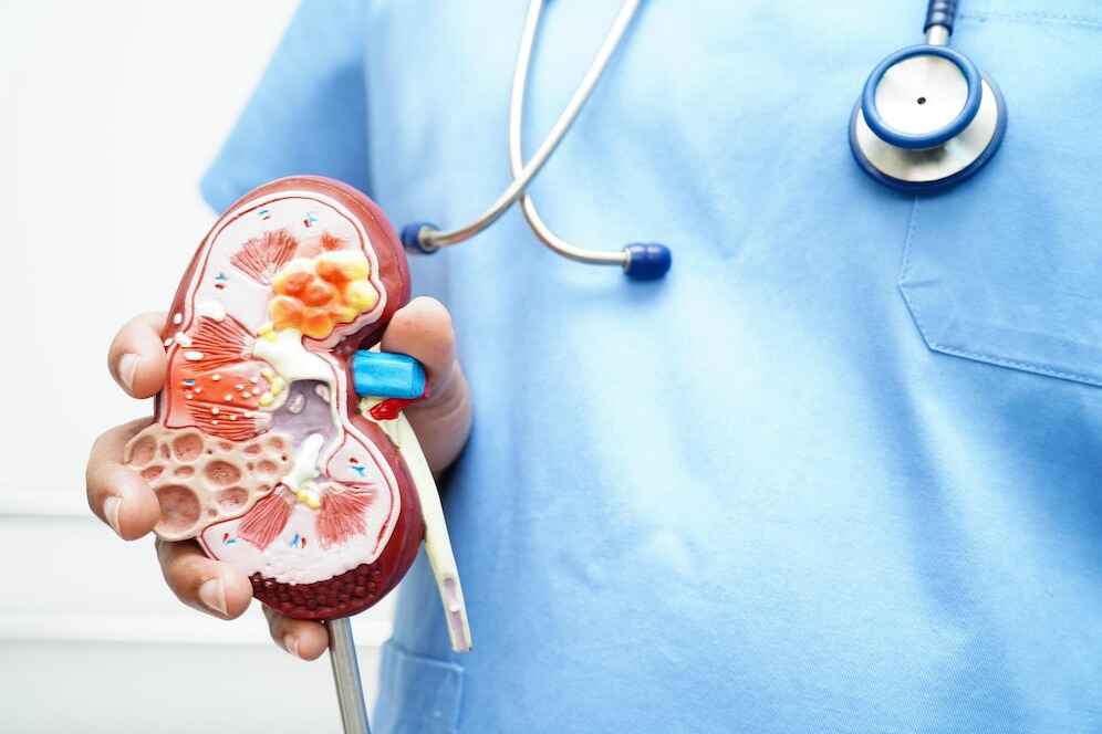 Kidney Health